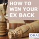 How to win your ex back Oracloo